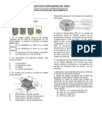 Evaluacion de Seguimiento 11°