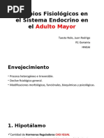 Cambios Fisiológicos en El Sistema Endocrino en El Adulto Mayor