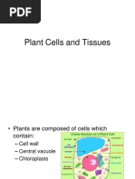 Plant Cells and Tissues