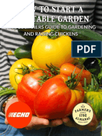 Guide To Start A Garden - Vegetable