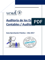 Auditora Gua Prctica