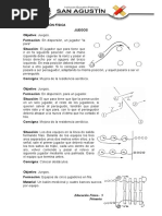 Planeacion Educacion Fisica