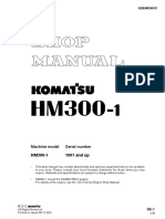 HM 300 PDF