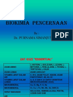 Biokimia Pencernaan