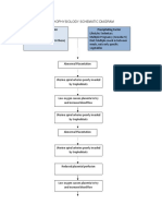 Pathophysiology Schematic Diagram: Predisposing Factor Precipitating Factor