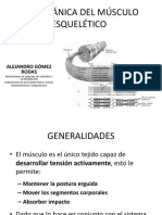 Biomecánica Del Músculo Esquelético: Alejandro Gómez Rodas