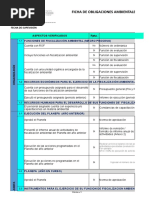 06 01 Foa Efa Nivel Local