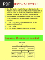 DISTRIBUCION MUESTRAL 2019 (Autoguardado)