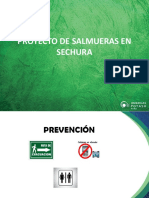 Proyecto de Salmueras en Sechura 2018