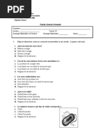 Prueba Ciencias Septimo