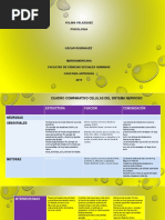 Cuadro Comparativo