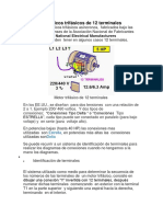 Motor de 12 Terminales