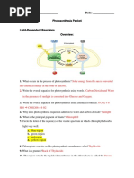 Photosynthesis Worksheet Version 2 SHORT 2018 KEY