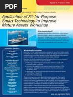 Workshop: Application of Fit-for-Purpose Smart Technology To Improve Mature Assets Workshop