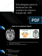 Evaluación de Sustancia Nigra en RM