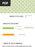 Tumores Testiculares