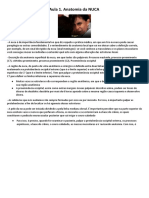 Resumo Anatomia Topografica P1 PDF