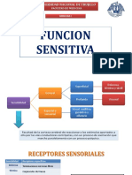 Funcion Sensitiva