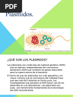 PLASMIDOS