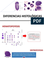 Diferencias Histologicas