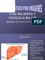 Higado y Vias Biliares 2018