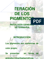 Alteracion Pigmentos Diapo Y MINERALES