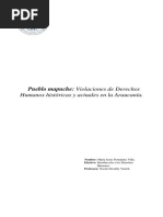 Pueblo Mapuche Violaciones Históricas y Actuales