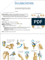 Anatomía-1