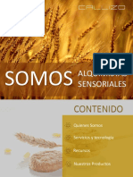 PDF Sabores - Panificación