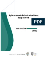 08.04.2019. Instructivo FHO VGS MDT IESS Final