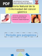 Historia Natural Del Cáncer Gástrico (Chumpitaz Obregón Nayeli)