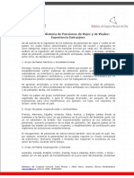 Modelo Del Sistema de Pensiones Por Viudez