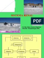 Fisiopatología Renal