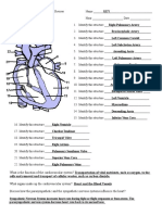 Anatomy and Physiology Unit 10 Test Review KEY