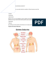 Actividad Sistema Endocrino