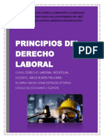 Principios Del Derecho Laboral