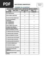 Indicadores SHP - Formato