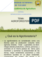 Agroforesteria