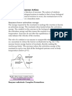 Mechanism of Enzyme Action