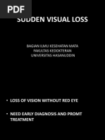 Sudden Visual Loss - PPTX, Emergency