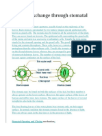 Gaseous Exchange Through Stomatal Chamber - : Stomatal Opening and Closing