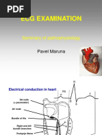 ECG Examination