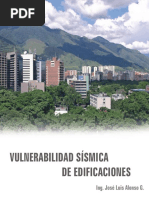 Vulnerabilidad Ebook PDF