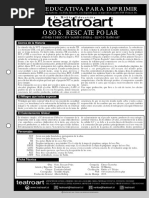 Ficha Osos PDF