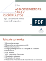 Clase 5 - Mitocondrias y Plastos