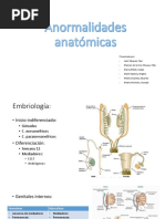 Anomalias Anatomicas 