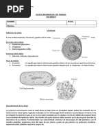 GUIA 7mo - CCNN - La Célula