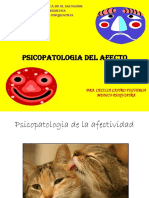 Psicopatologia Del Afecto