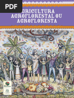 Sistema Agroflorestal