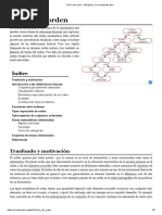 Teoría Del Orden